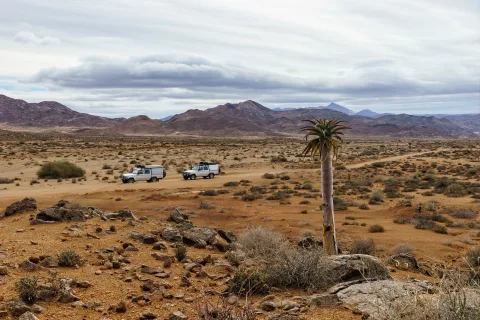 Quad & buggy adventure — 2