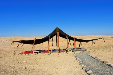 Sunset camel ride — 5