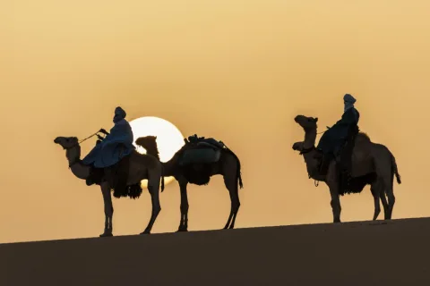 Sunset camel ride — 1